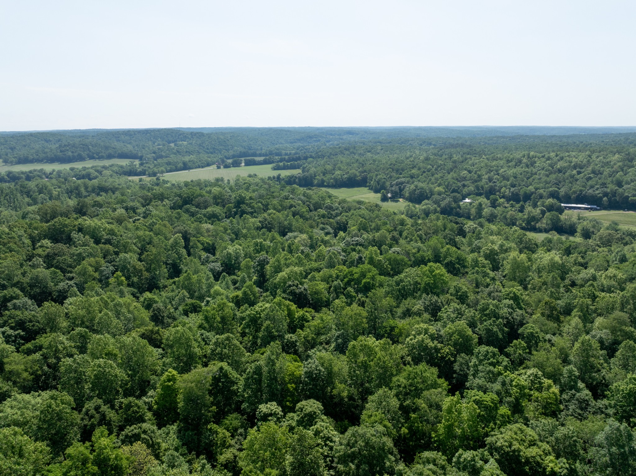 3 Highway 49 Vanleer, TN 37181 - Photo 11 of 26 an aerial view of multiple house