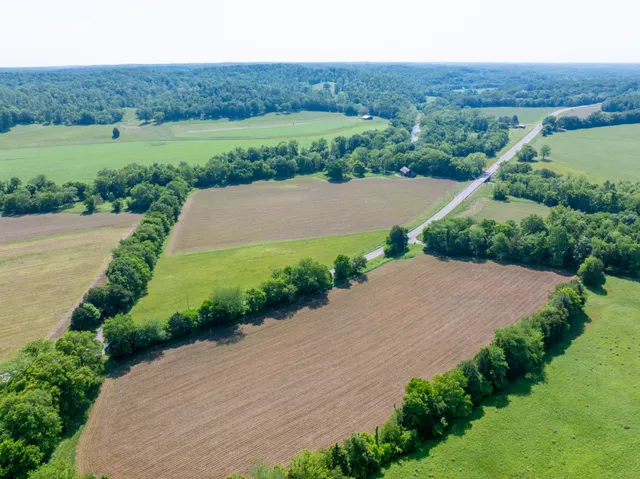 an aerial view of a house with yard and green space