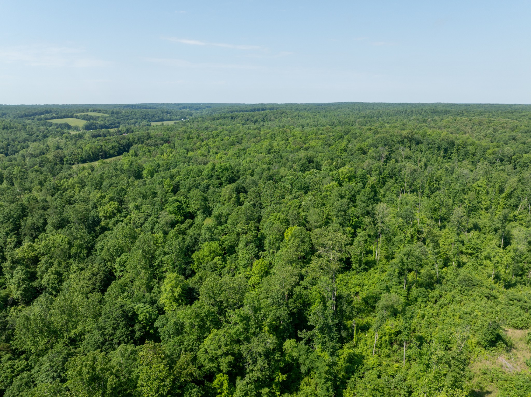 3 Highway 49 Vanleer, TN 37181 - Photo 18 of 26 an aerial view of residential houses with outdoor space