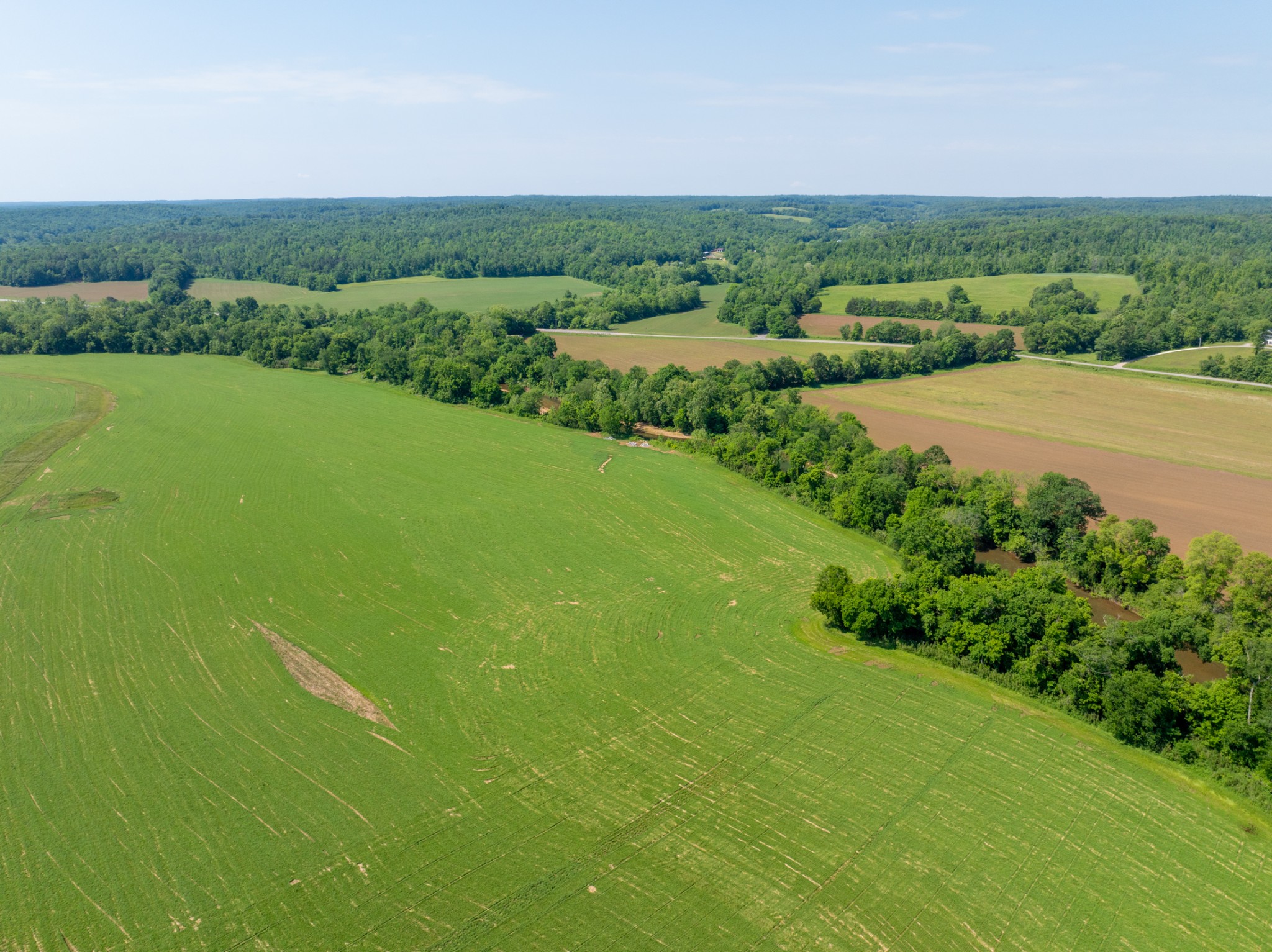 3 Highway 49 Vanleer, TN 37181 - Photo 22 of 26 a view of a lush green outdoor space with a lake view