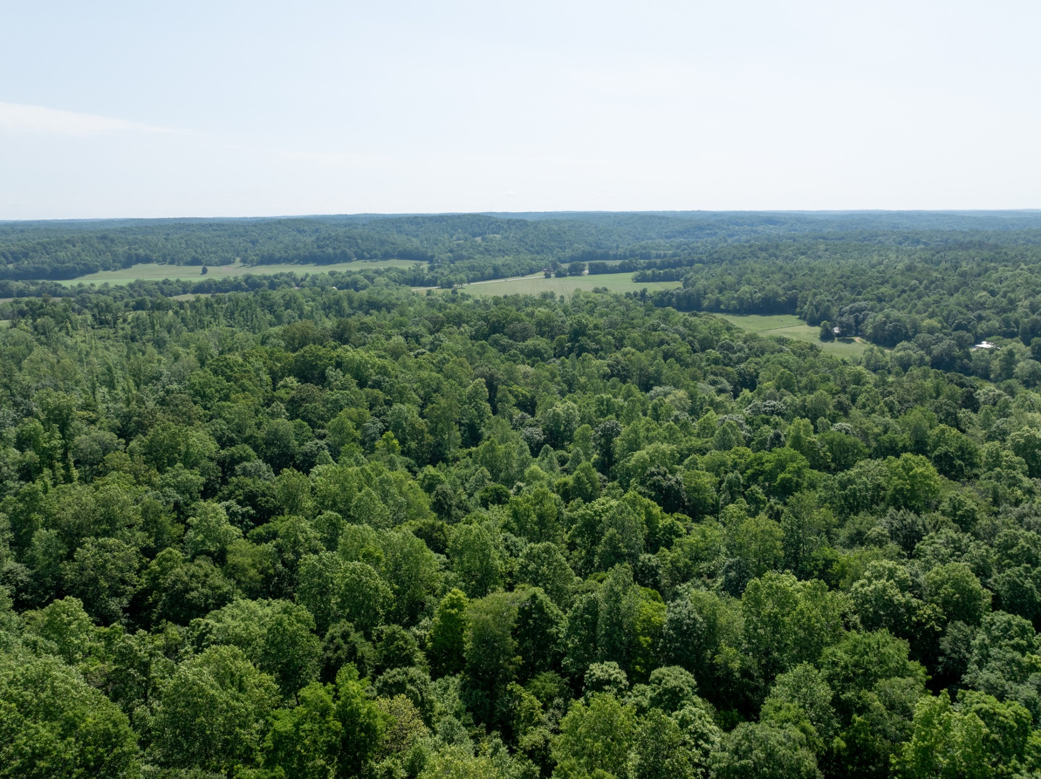3 Highway 49 Vanleer, TN 37181 - Photo 10 of 26 an aerial view of houses covered in trees