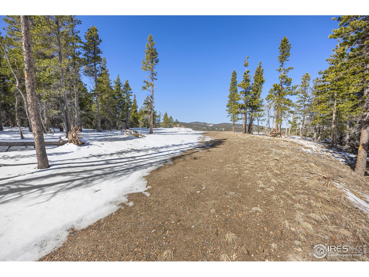 3 Sagamore Trail Black Hawk, CO 80422 - Photo 12 of 24 a view of a backyard of a house