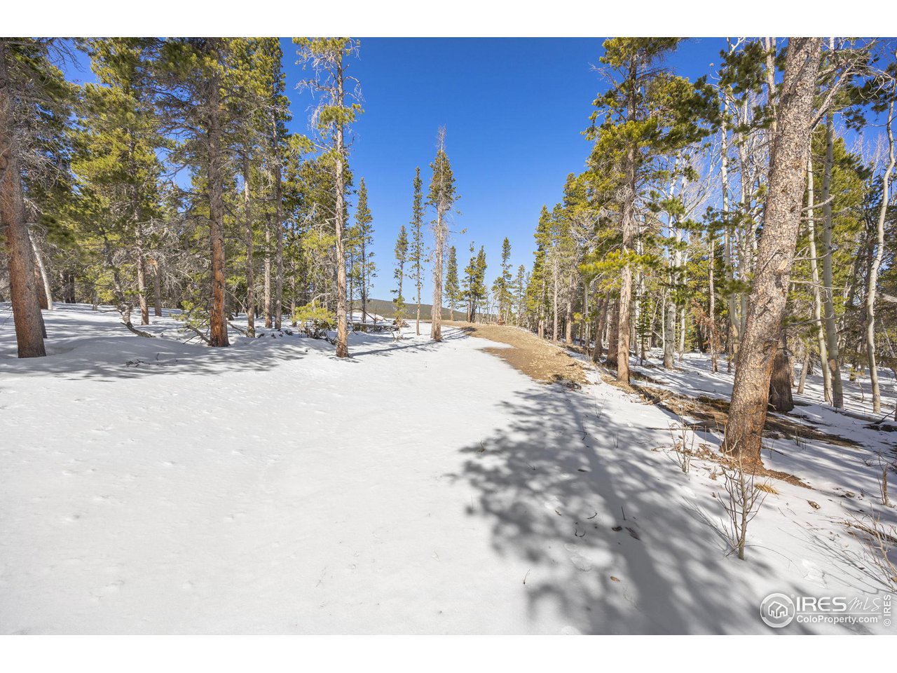3 Sagamore Trail Black Hawk, CO 80422 - Photo 13 of 24 a view of a yard with a building