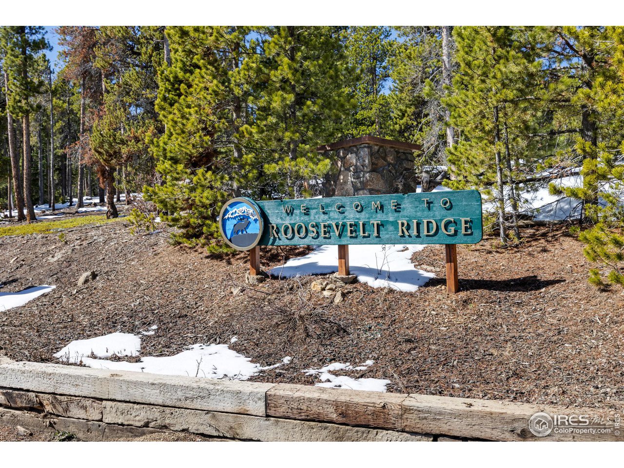 3 Sagamore Trail Black Hawk, CO 80422 - Photo 4 of 24 a view of a park with large trees