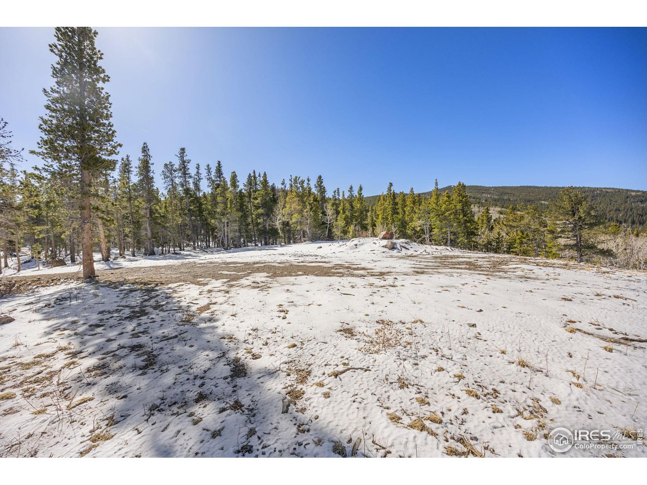 3 Sagamore Trail Black Hawk, CO 80422 - Photo 9 of 24 a view of dirt field with trees in the background