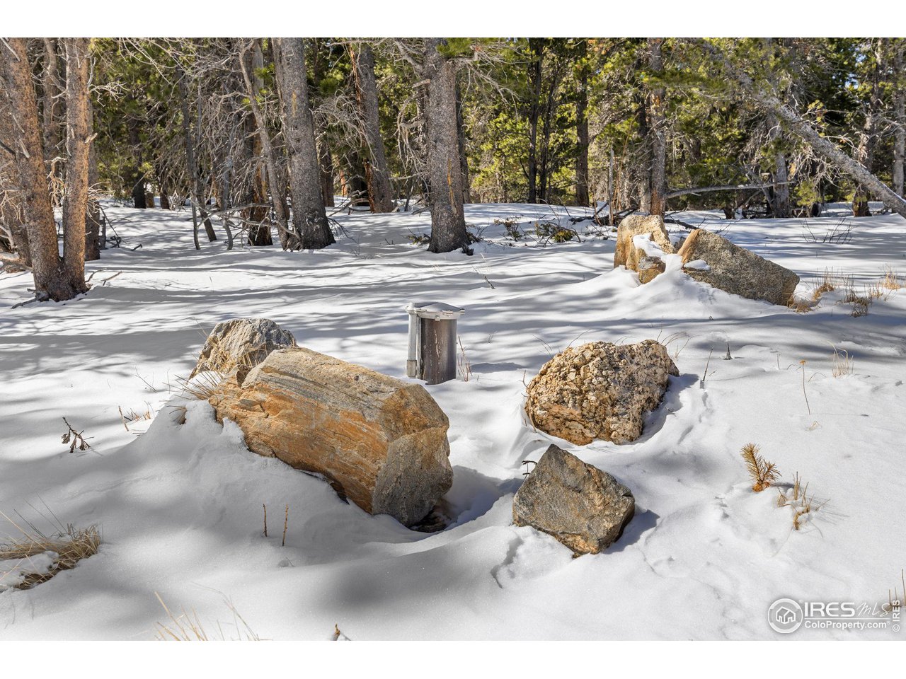 3 Sagamore Trail Black Hawk, CO 80422 - Photo 10 of 24 a view of a backyard of the house