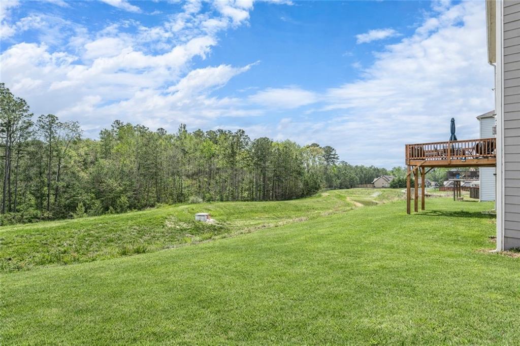 545 Sienna Bluff Dallas, GA 30132 - Photo 33 of 40