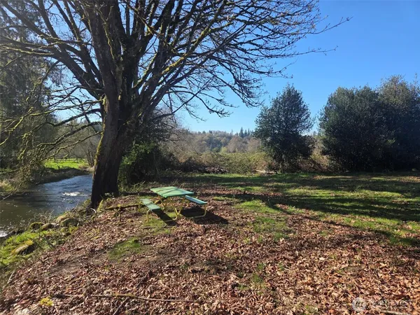 a view of backyard with green space