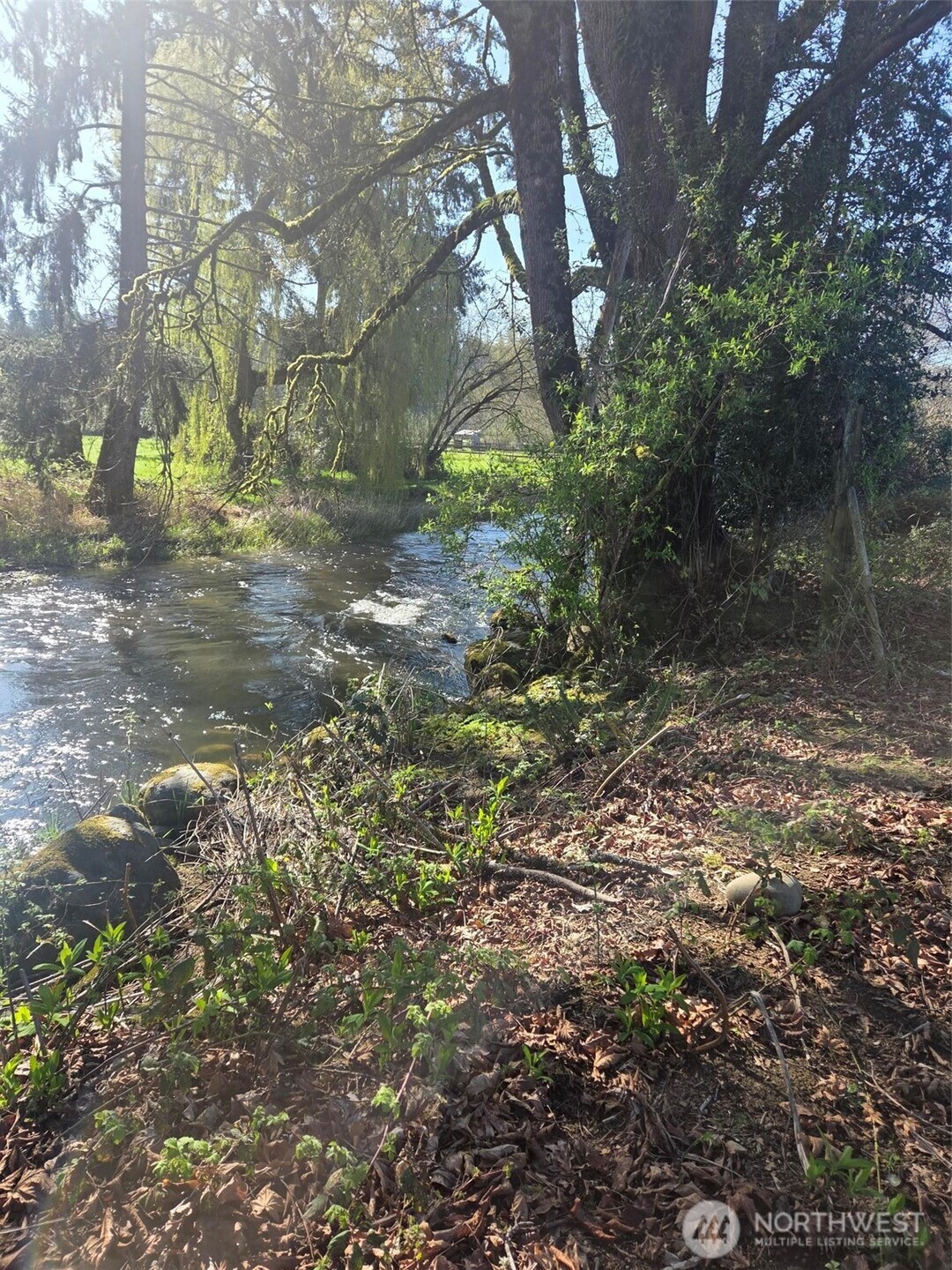23022 Yeager Road Monroe, WA 98272 - Photo 5 of 5 a view of yard