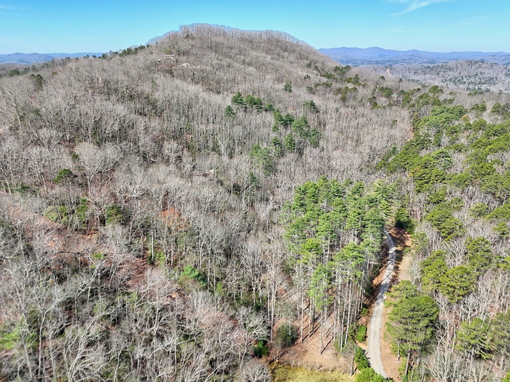91 Forest View Murphy, NC 28906 - Photo 23 of 76