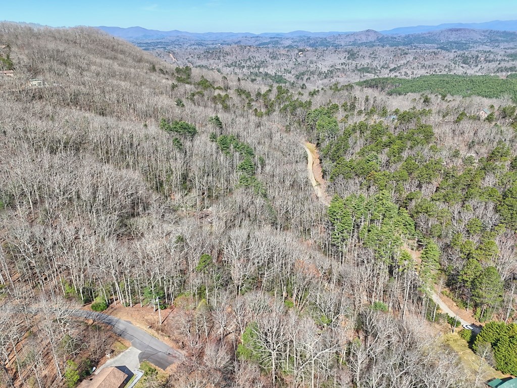 91 Forest View Murphy, NC 28906 - Photo 24 of 76