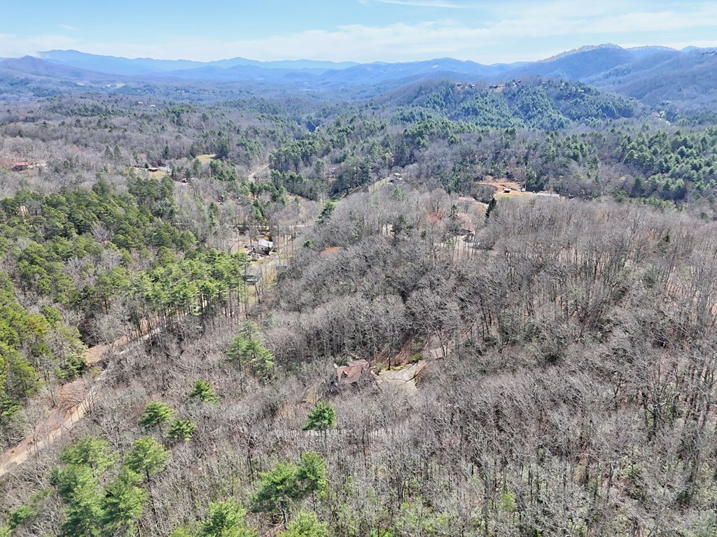 91 Forest View Murphy, NC 28906 - Photo 25 of 76