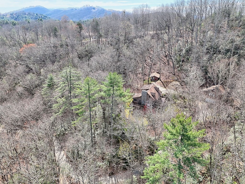 91 Forest View Murphy, NC 28906 - Photo 26 of 76