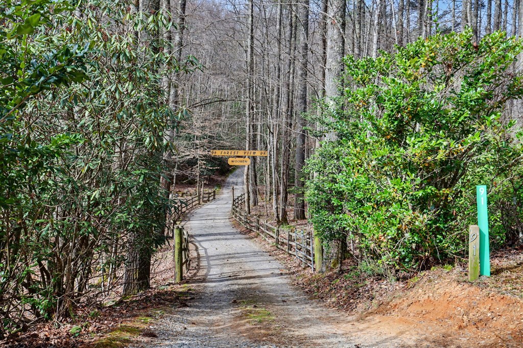 91 Forest View Murphy, NC 28906 - Photo 31 of 76