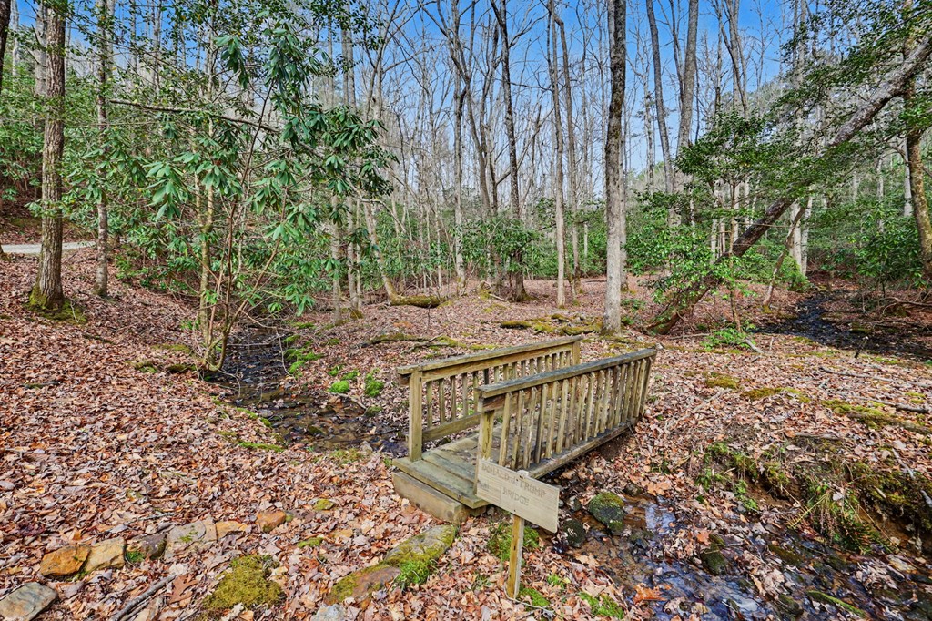 91 Forest View Murphy, NC 28906 - Photo 34 of 76