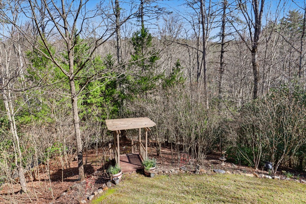 91 Forest View Murphy, NC 28906 - Photo 44 of 76