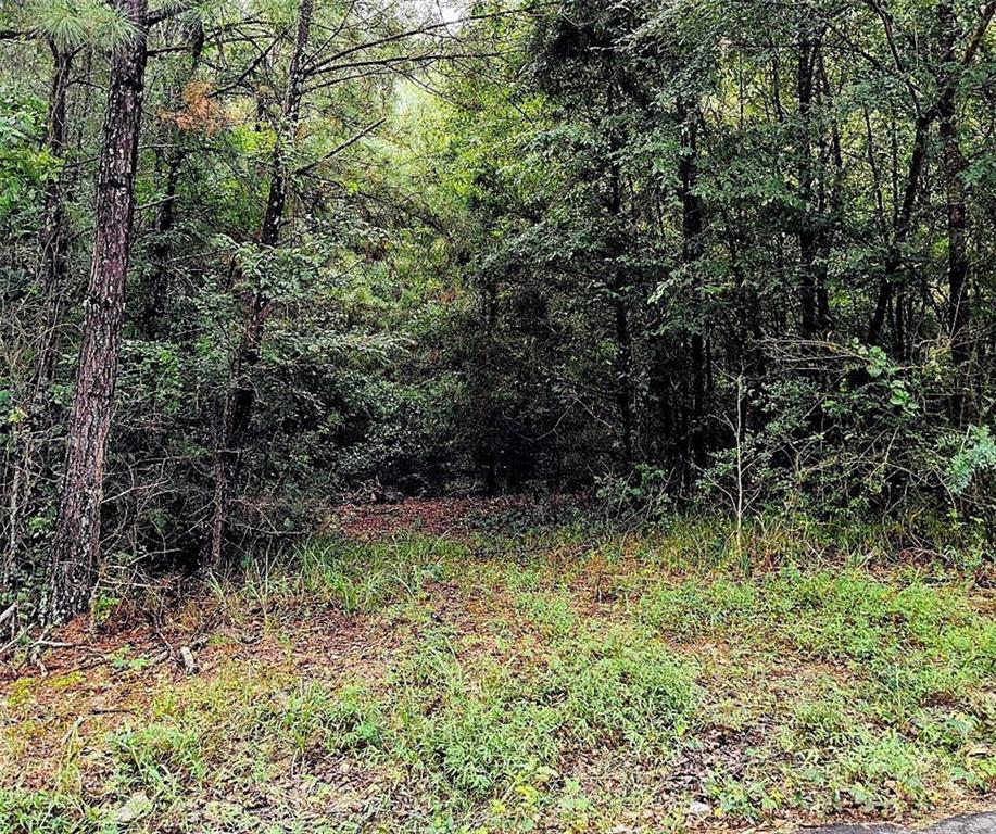496 Flat Woods Road Calhoun, GA 30701 - Photo 14 of 21 a view of backyard with green space