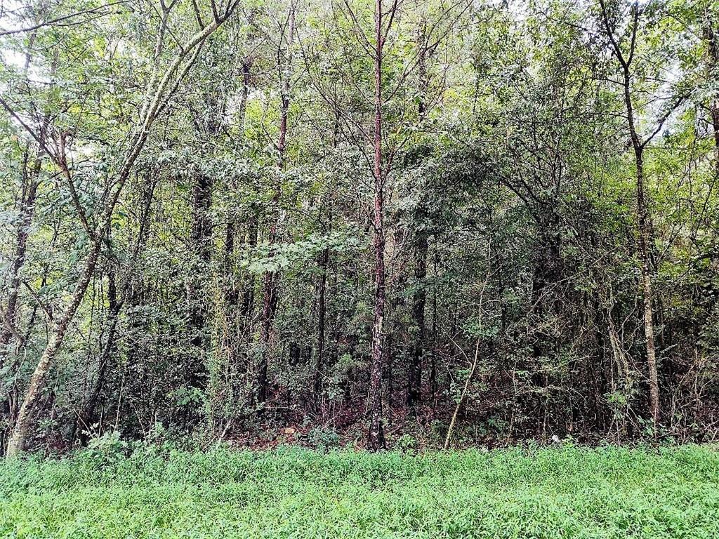 496 Flat Woods Road Calhoun, GA 30701 - Photo 15 of 21 a view of a yard with a tree