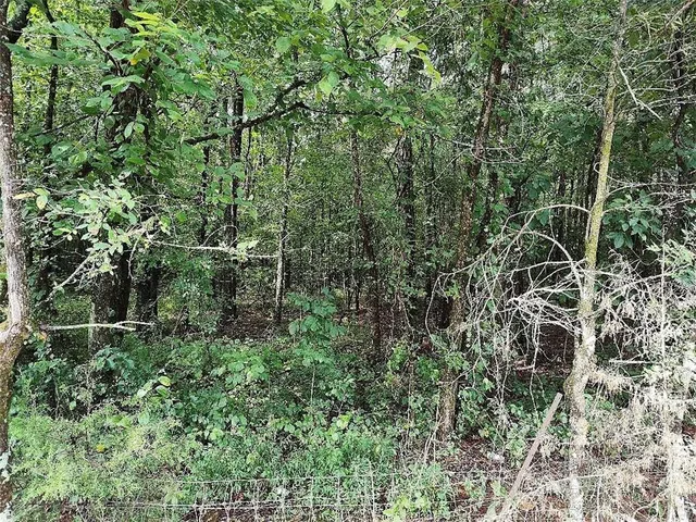 $200,000 | 496 Flat Woods Road, Calhoun, GA 30701