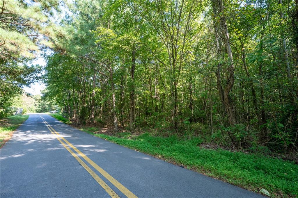 496 Flat Woods Road Calhoun, GA 30701 - Photo 3 of 21 a view of a street with a trees