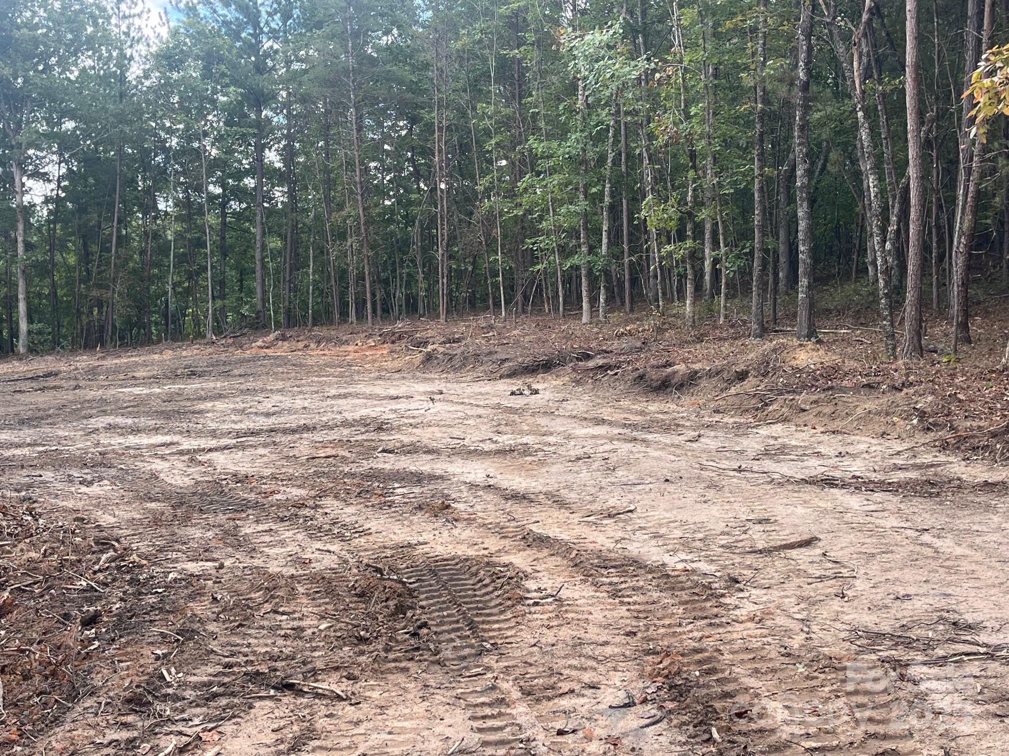 V/l West Thompson Road, Unit 2 3 Rutherfordton, NC 28139 - Photo 2 of 13
