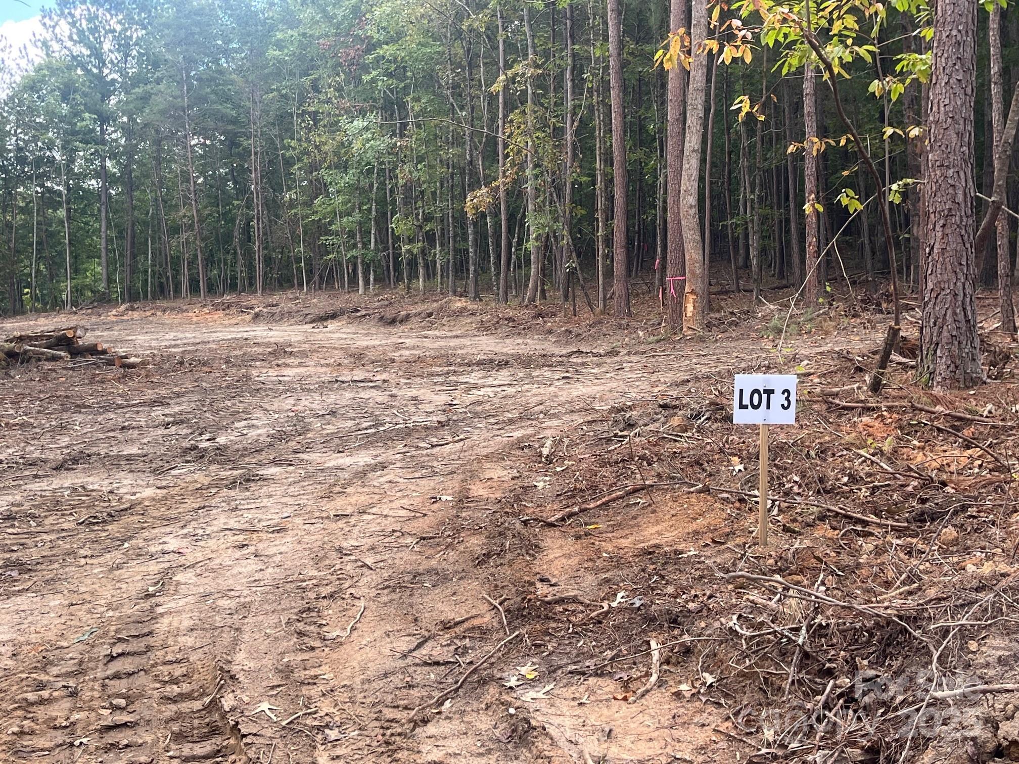 V/l West Thompson Road, Unit 2 3 Rutherfordton, NC 28139 - Photo 3 of 13