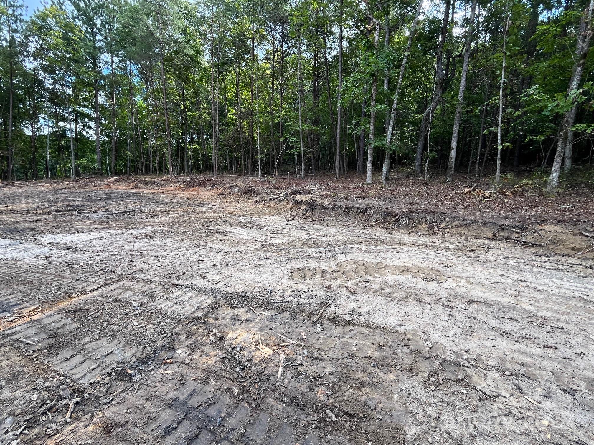 V/l West Thompson Road, Unit 2 3 Rutherfordton, NC 28139 - Photo 4 of 13