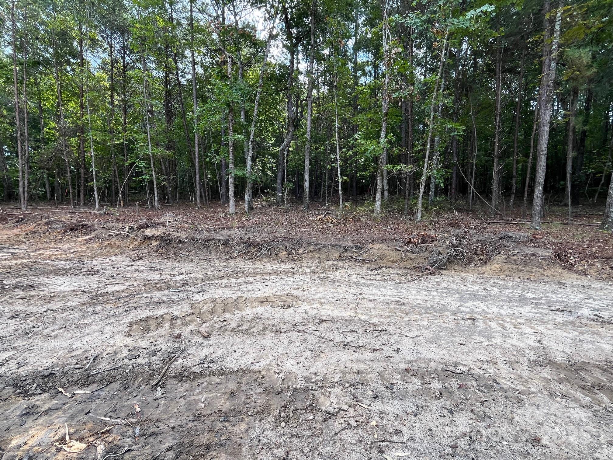 V/l West Thompson Road, Unit 2 3 Rutherfordton, NC 28139 - Photo 5 of 13