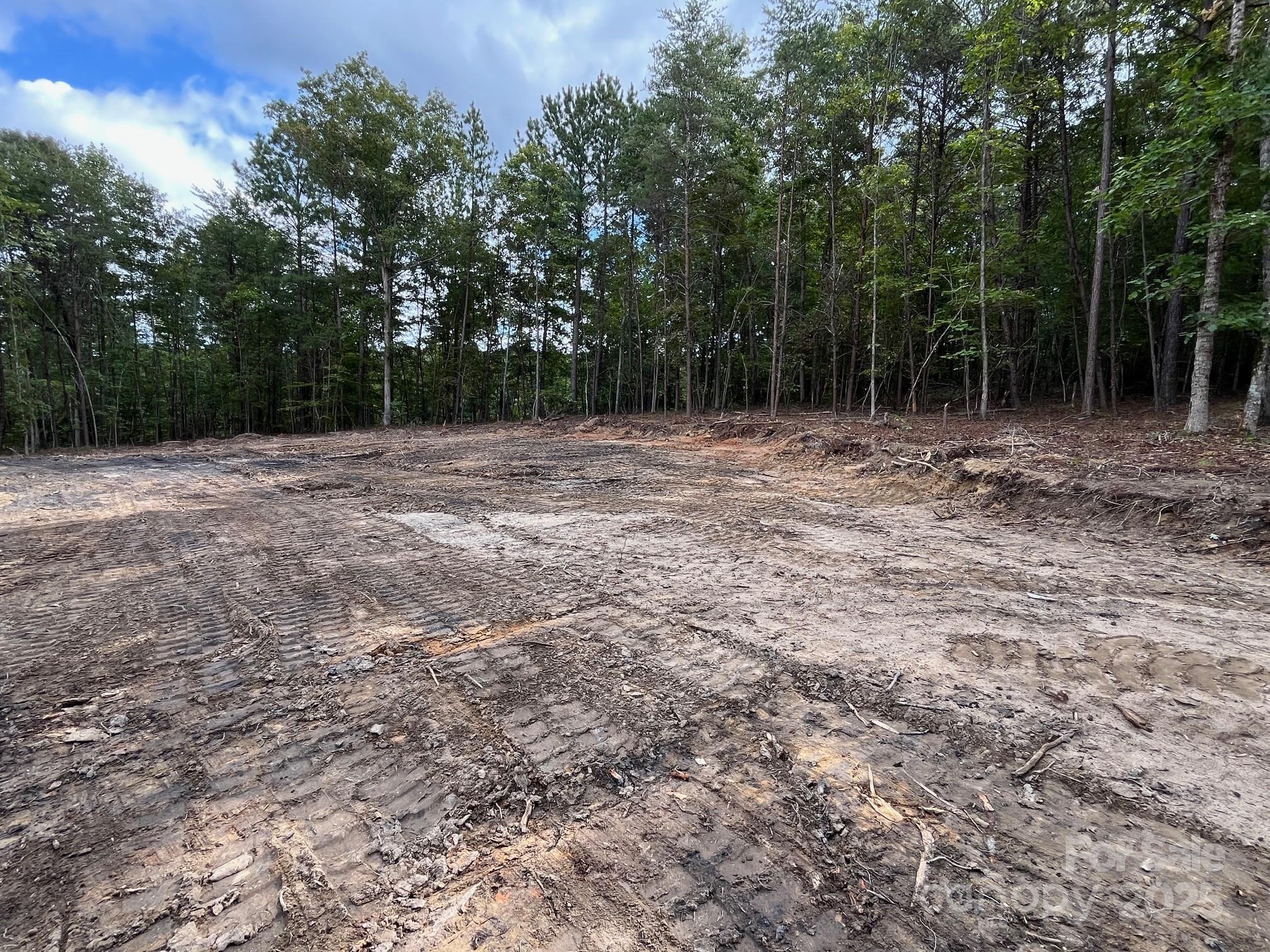 V/l West Thompson Road, Unit 2 3 Rutherfordton, NC 28139 - Photo 6 of 13