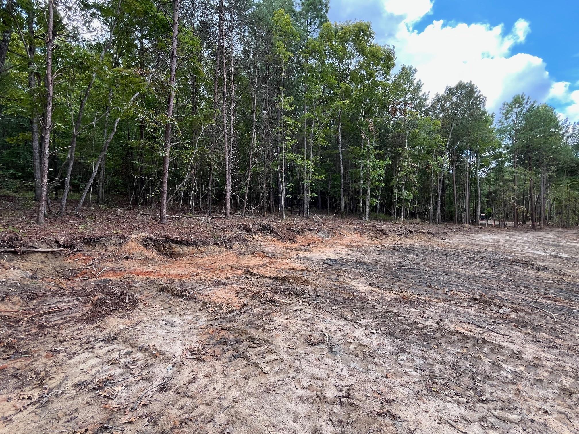 V/l West Thompson Road, Unit 2 3 Rutherfordton, NC 28139 - Photo 7 of 13