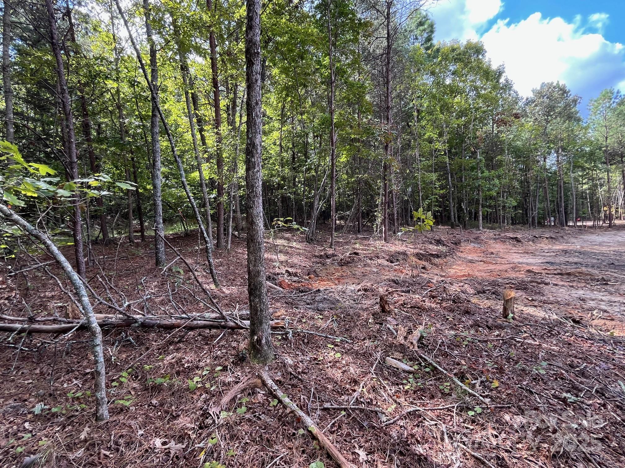 V/l West Thompson Road, Unit 2 3 Rutherfordton, NC 28139 - Photo 8 of 13