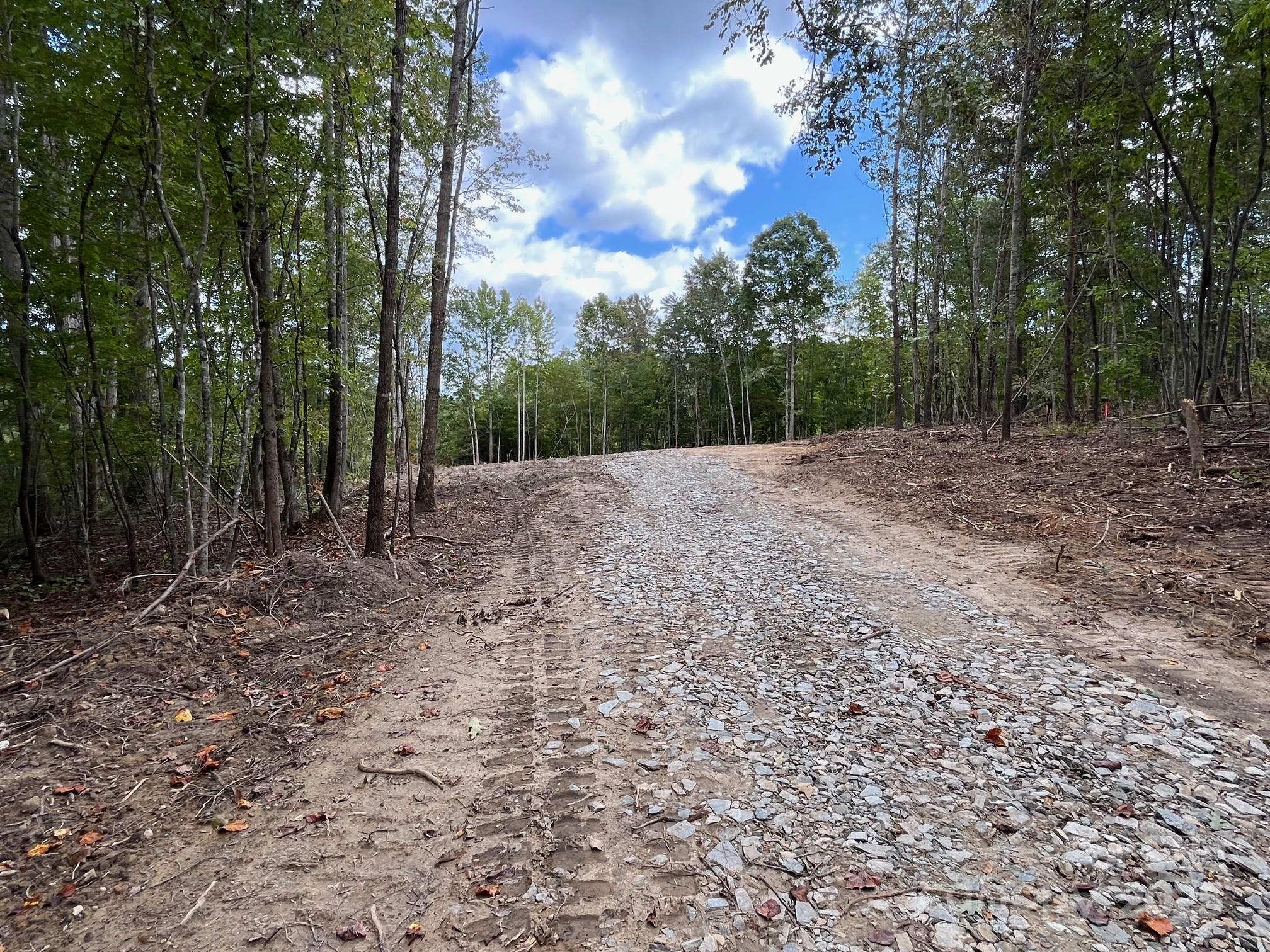 V/l West Thompson Road, Unit 2 3 Rutherfordton, NC 28139 - Photo 10 of 13