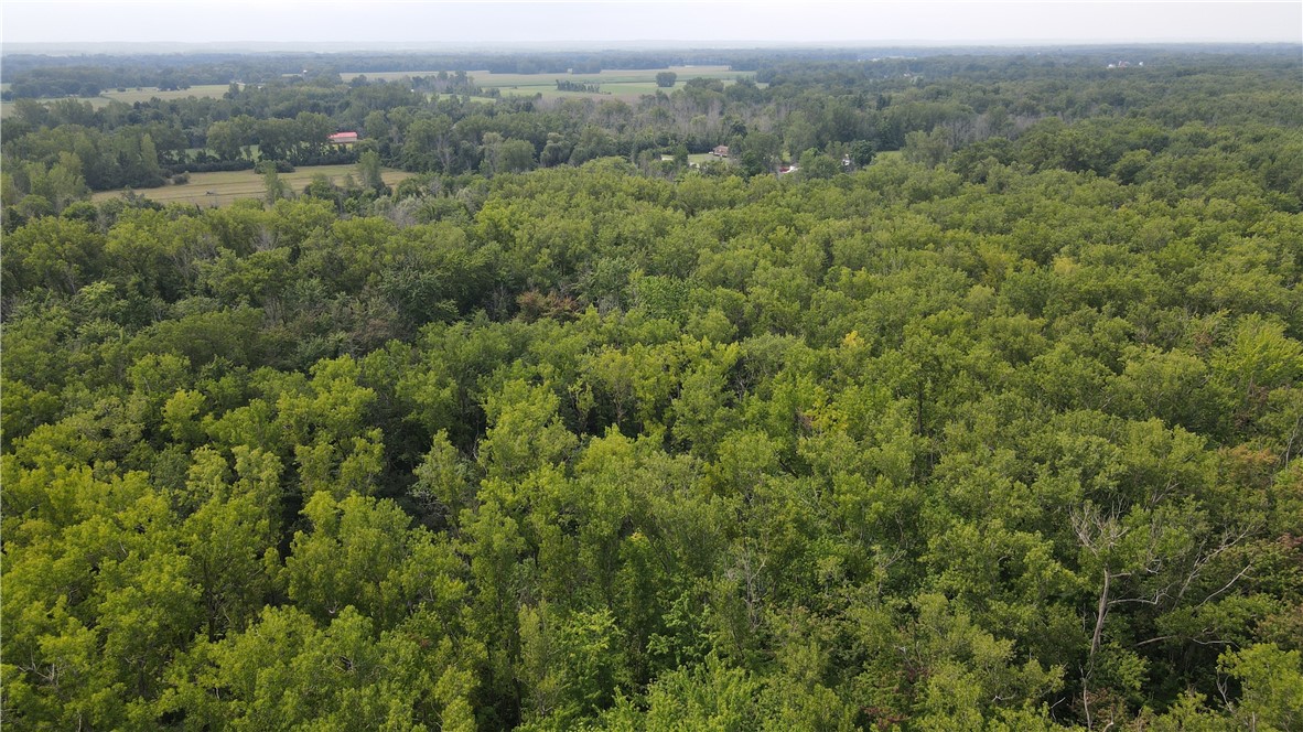 2853 Hartland Road Hartland, NY 14067 - Photo 11 of 15