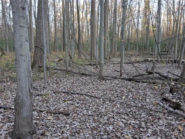 $399,900 | 2853 Hartland Road, Hartland, NY 14067