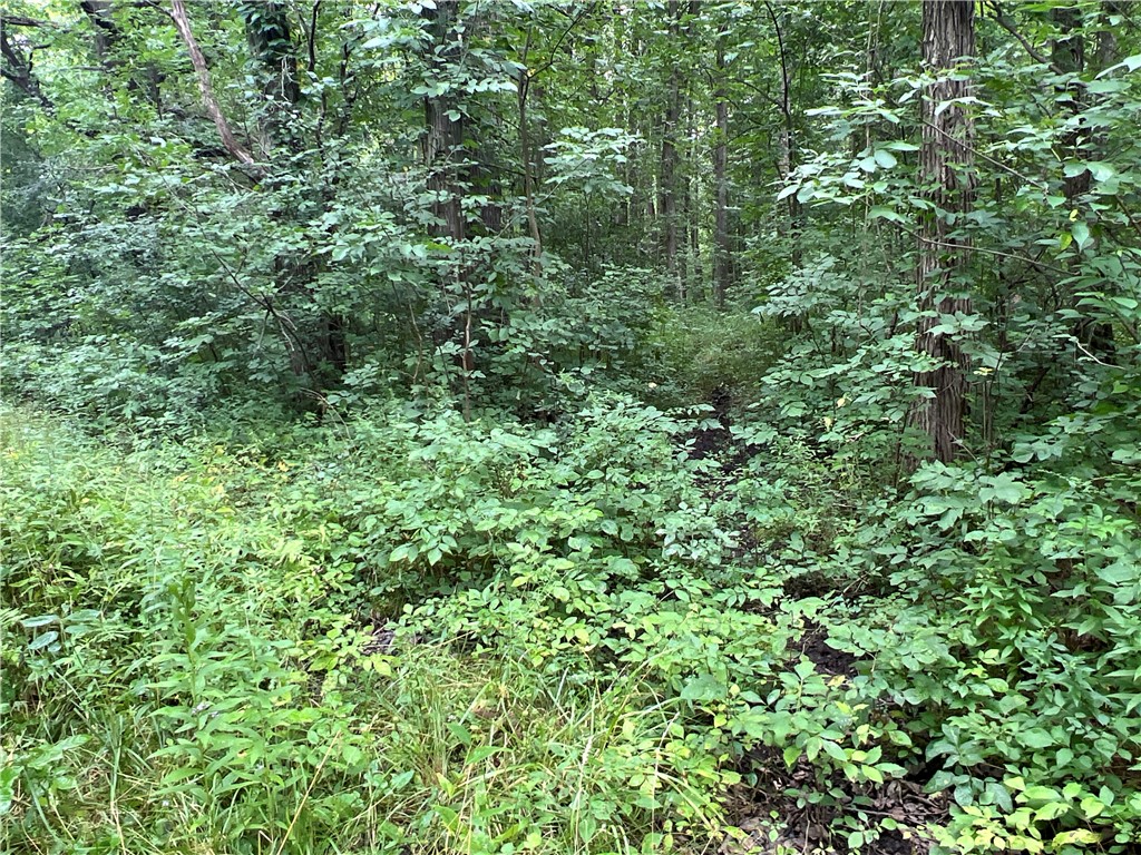 2853 Hartland Road Hartland, NY 14067 - Photo 9 of 15