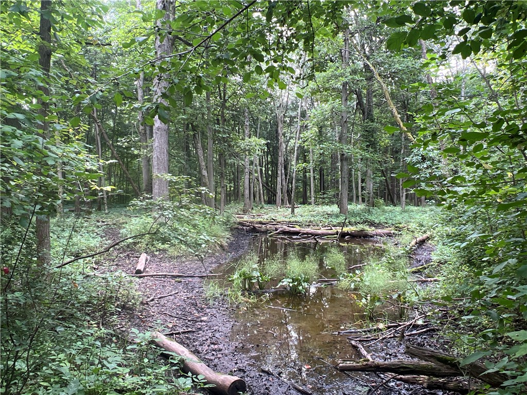2853 Hartland Road Hartland, NY 14067 - Photo 10 of 15