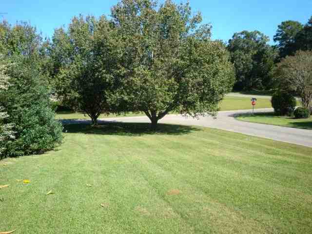 557 Rawls Road, Unit 3 Tallahassee, FL 32312 - Photo 3 of 17 Gallery Image 3