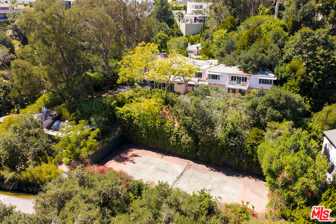 10934 Bellagio Road Los Angeles, CA 90077 - Photo 9 of 52 a view of a bunch of flowers and trees