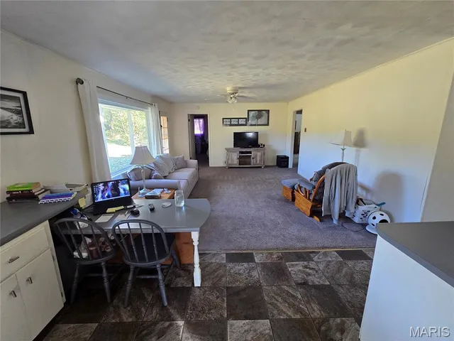 $225,500 | 1978 Old Highway 60, Birch Tree, MO 65438