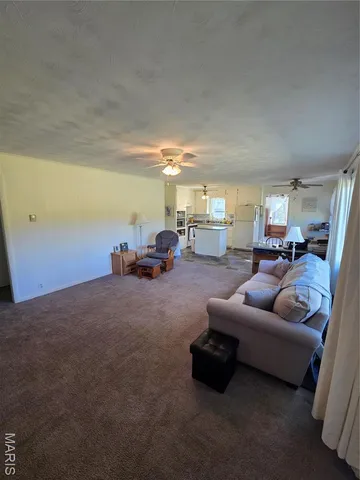 $225,500 | 1978 Old Highway 60, Birch Tree, MO 65438