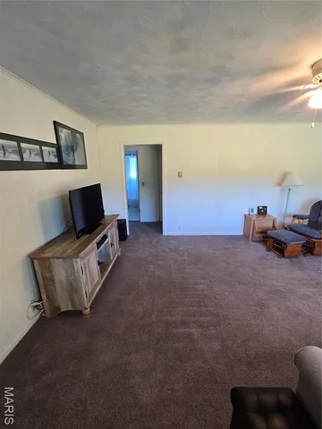 $225,500 | 1978 Old Highway 60, Birch Tree, MO 65438