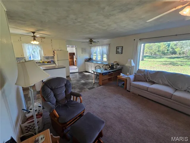 $225,500 | 1978 Old Highway 60, Birch Tree, MO 65438