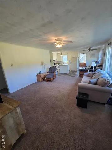 $225,500 | 1978 Old Highway 60, Birch Tree, MO 65438