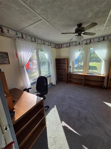 $225,500 | 1978 Old Highway 60, Birch Tree, MO 65438