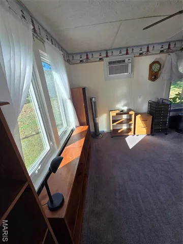 $225,500 | 1978 Old Highway 60, Birch Tree, MO 65438