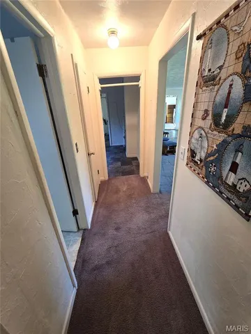 $225,500 | 1978 Old Highway 60, Birch Tree, MO 65438