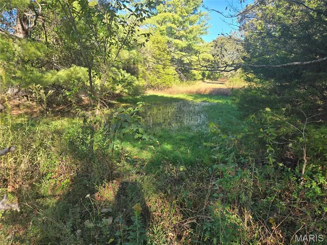 $225,500 | 1978 Old Highway 60, Birch Tree, MO 65438