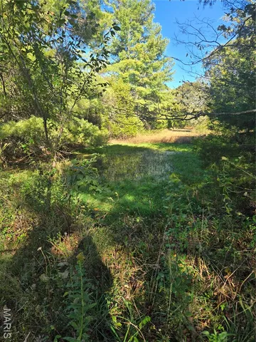 $225,500 | 1978 Old Highway 60, Birch Tree, MO 65438