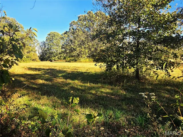 $225,500 | 1978 Old Highway 60, Birch Tree, MO 65438