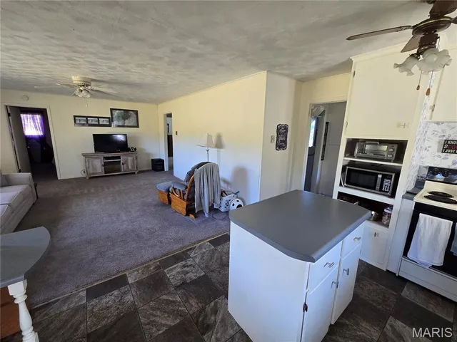 $225,500 | 1978 Old Highway 60, Birch Tree, MO 65438